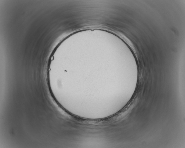 X0000111651005200908141247
