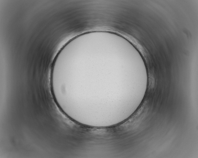 X0000111651006200908141247