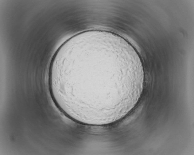 X0000111651007200908141247