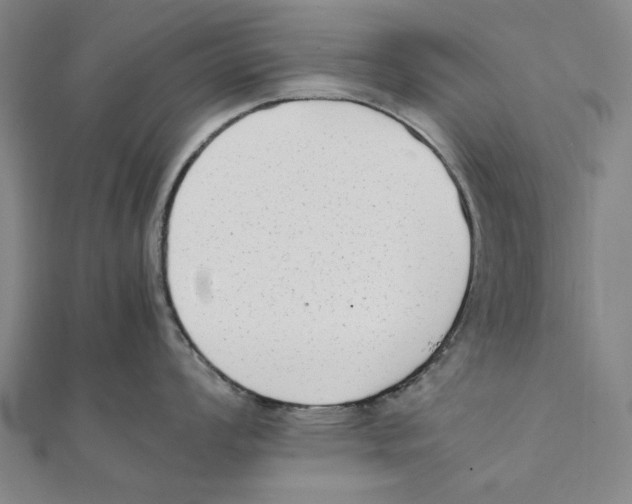 X0000111651008200908141247