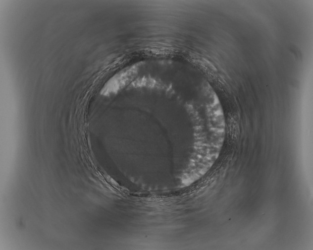 X0000111651009200908141246