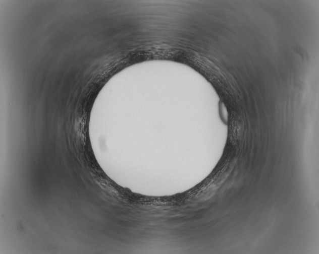 X0000111651010200908141246