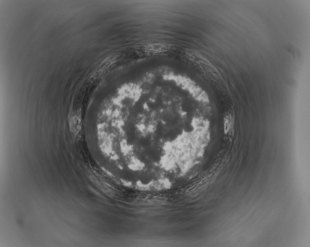 X0000111651011200908141246
