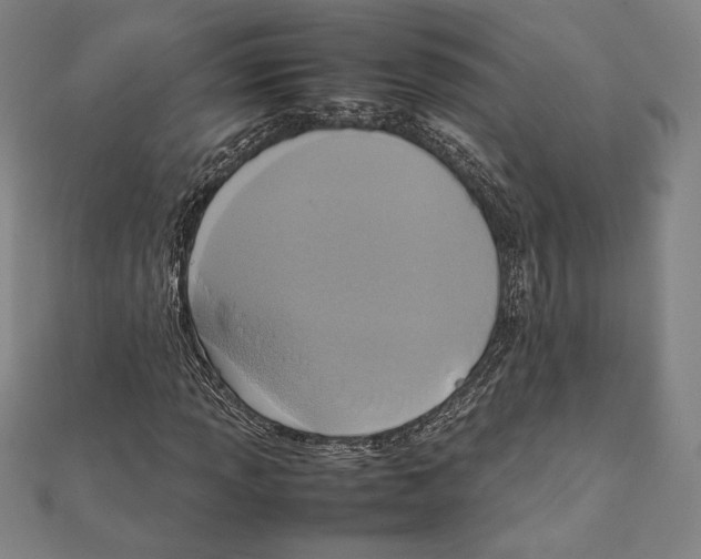 X0000111651013200908141246