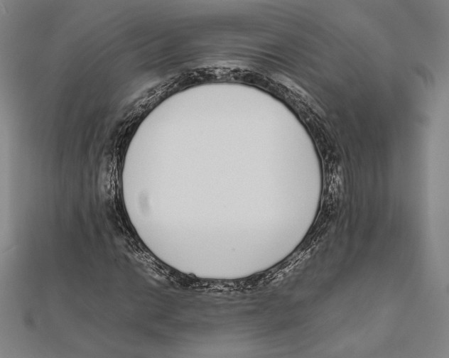 X0000111651014200908141247