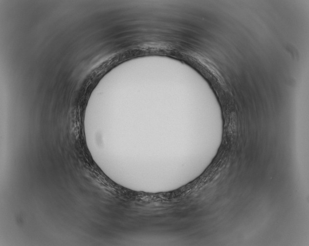 X0000111651015200908141247