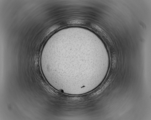 X0000111651017200908141247