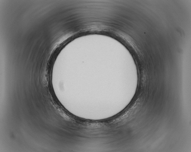 X0000111651018200908141247