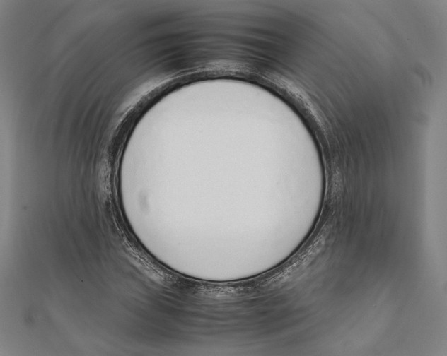 X0000111651019200908141247