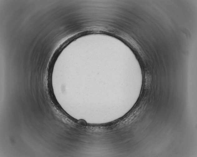 X0000111651020200908141247