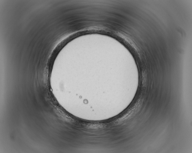 X0000111651021200908141247