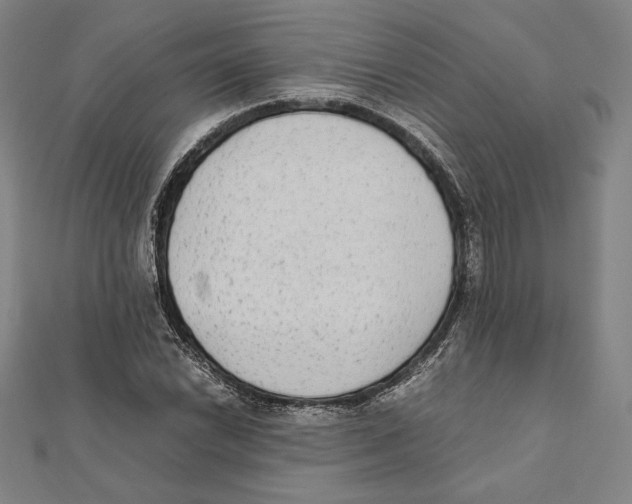 X0000111651022200908141247