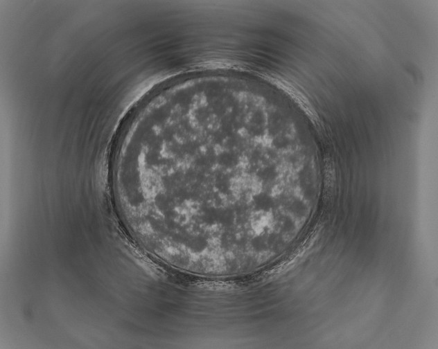 X0000111651023200908141247