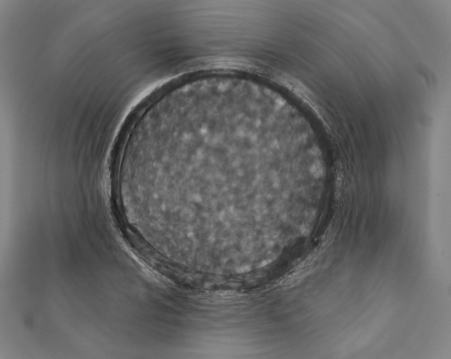 X0000111651024200908141247