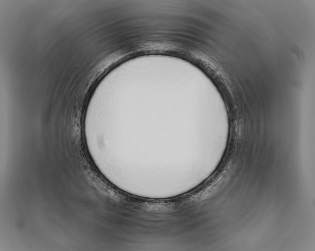 X0000111651025200908141247