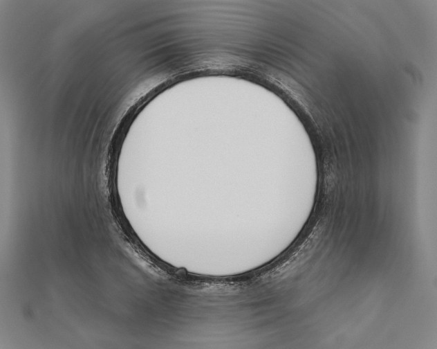 X0000111651026200908141247