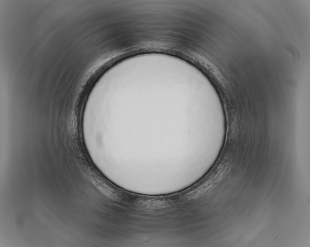 X0000111651027200908141247