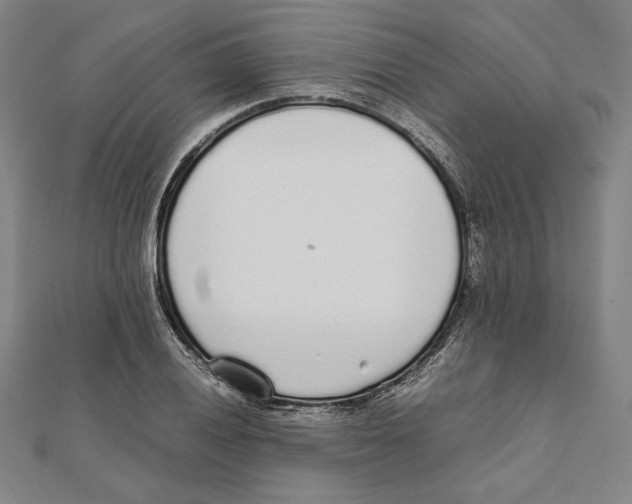 X0000111651028200908141247