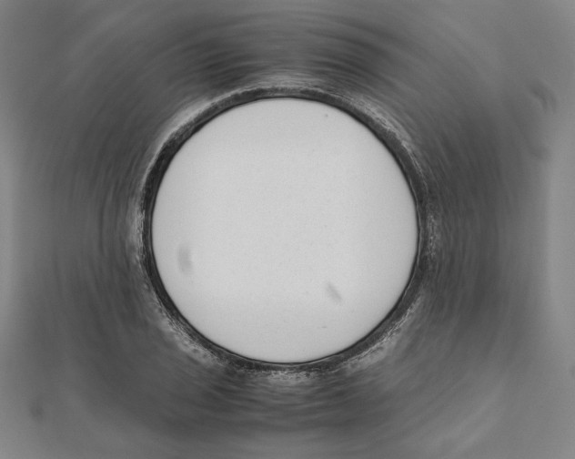 X0000111651029200908141247