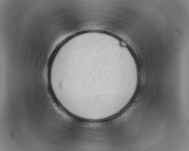 X0000111651030200908141247