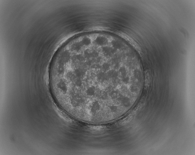 X0000111651031200908141247