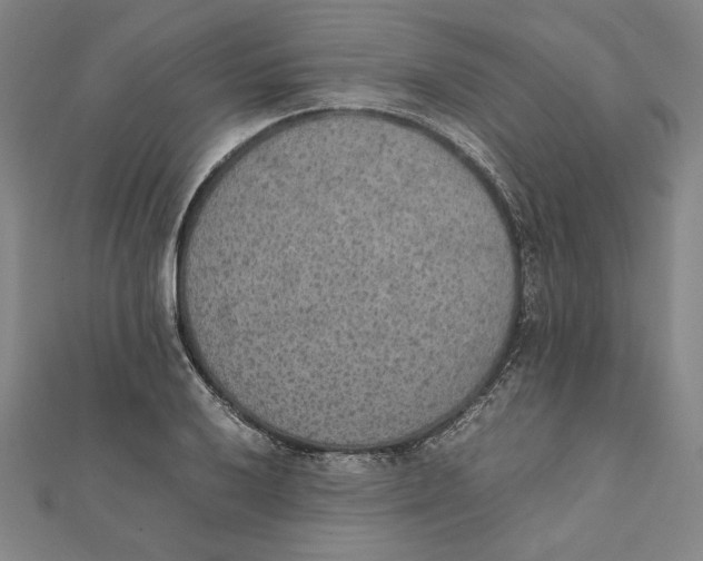 X0000111651032200908141247