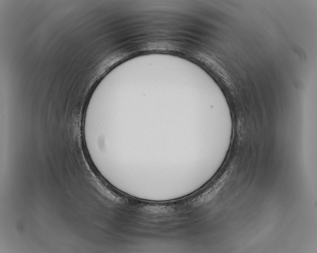 X0000111651033200908141247