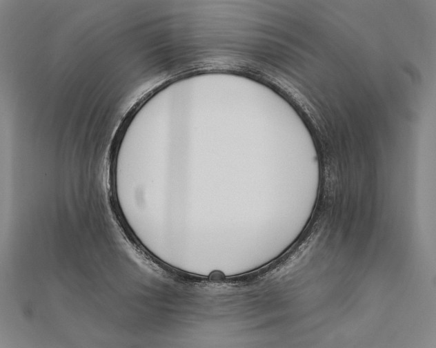 X0000111651034200908141247