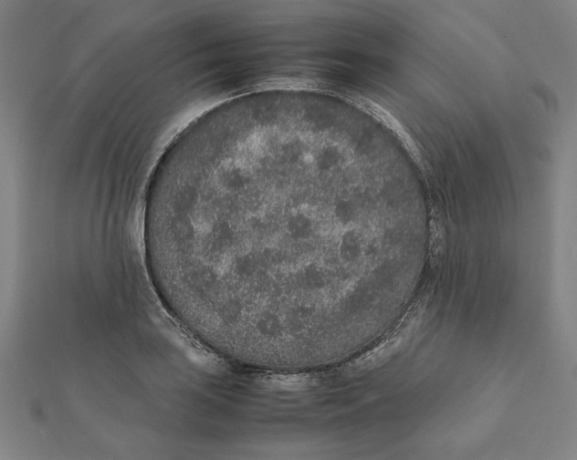 X0000111651035200908141247