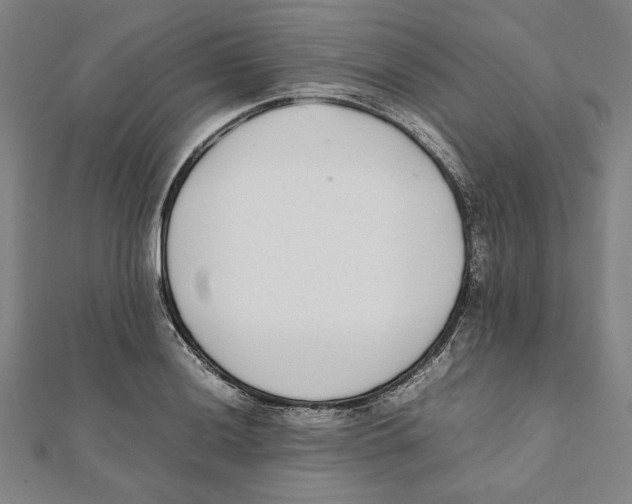 X0000111651036200908141247