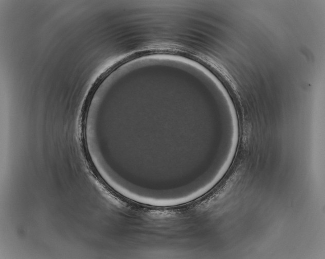 X0000111651037200908141247