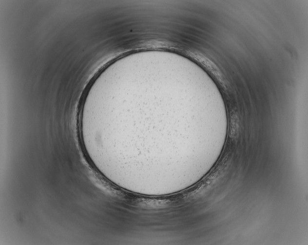 X0000111651039200908141247