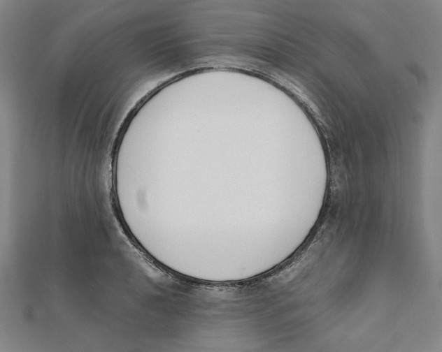 X0000111651040200908141247