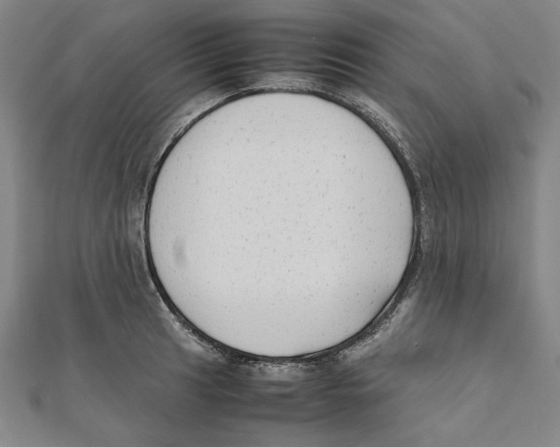 X0000111651041200908141247