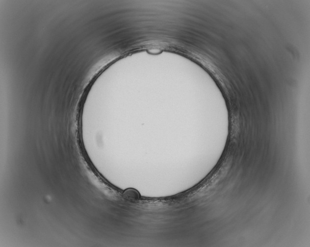 X0000111651042200908141247