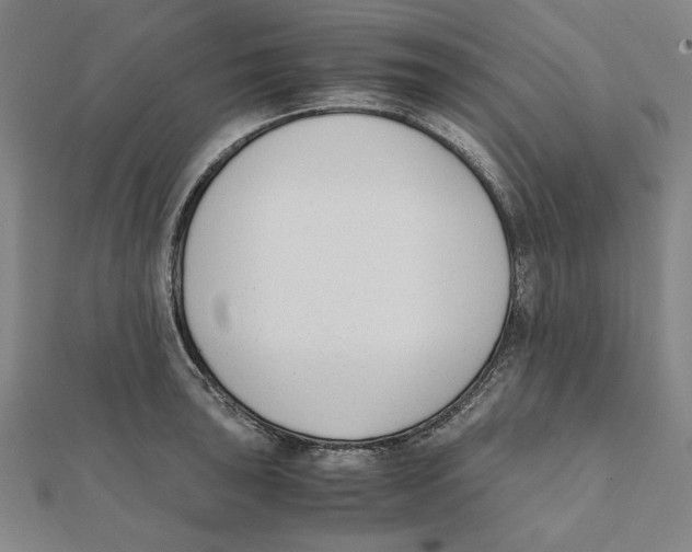X0000111651043200908141247