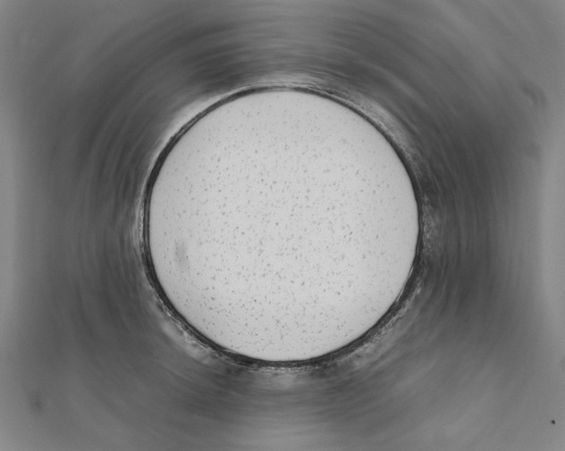 X0000111651044200908141247