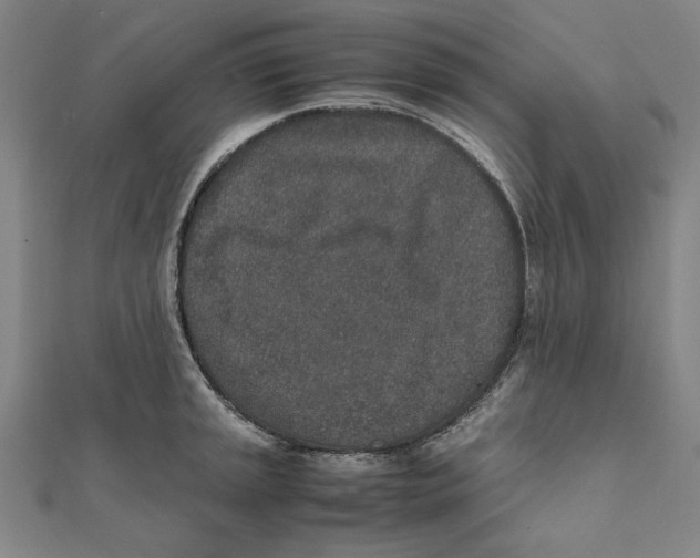 X0000111651045200908141247