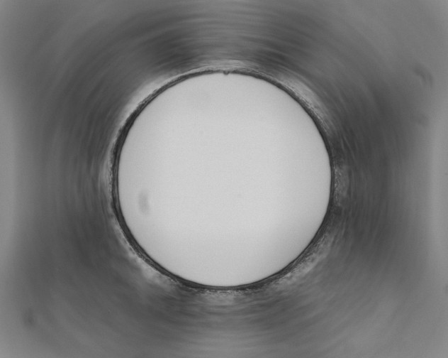 X0000111651046200908141247