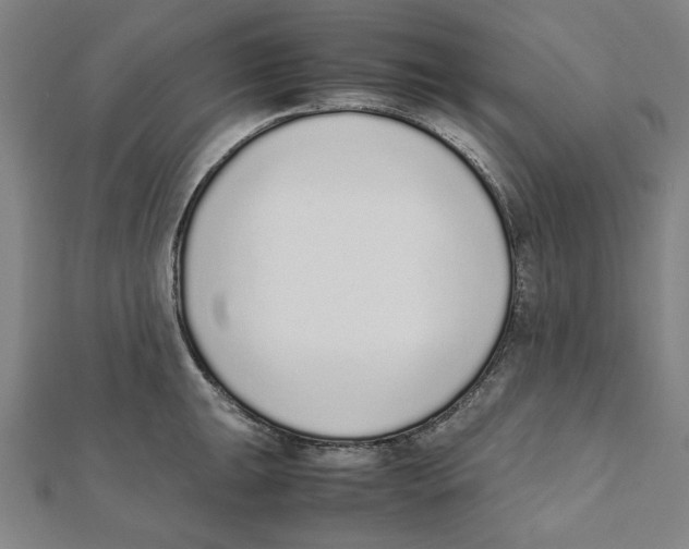 X0000111651047200908141247