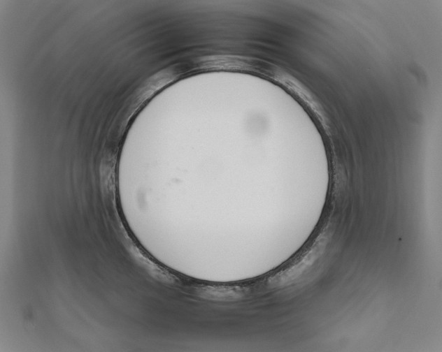 X0000111651049200908141247
