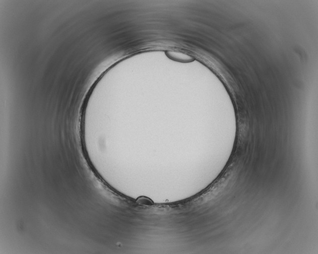 X0000111651050200908141247