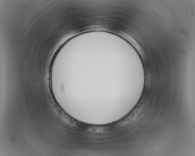 X0000111651051200908141247