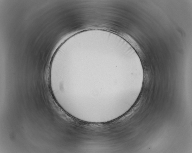 X0000111651052200908141247