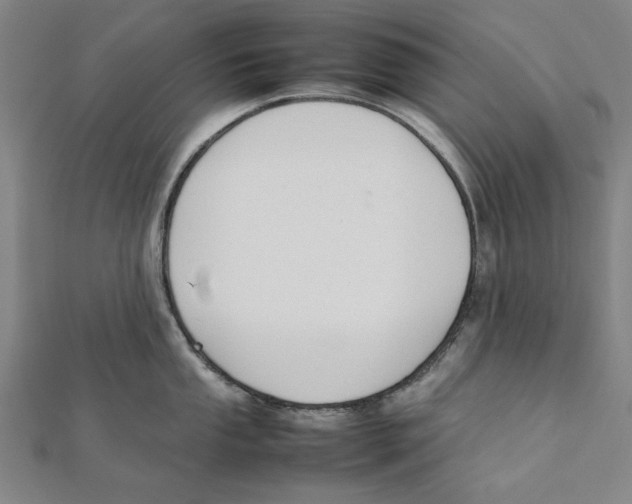 X0000111651053200908141247