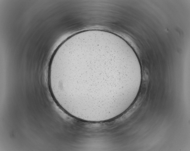 X0000111651054200908141247