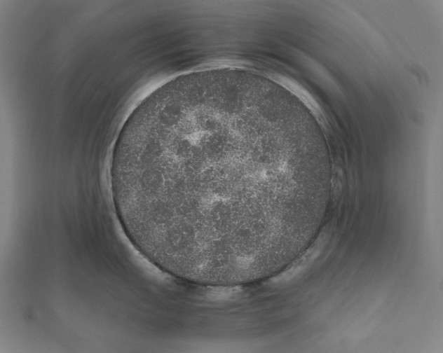 X0000111651055200908141247