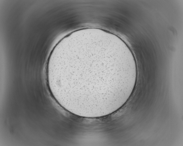 X0000111651056200908141247