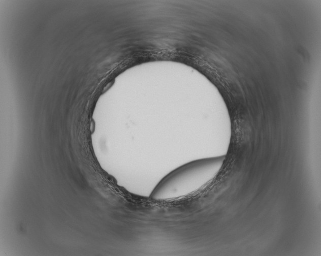X0000111651057200908141246
