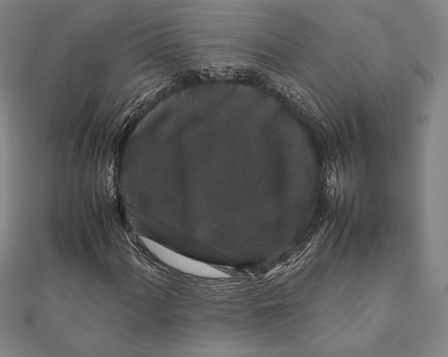 X0000111651060200908141246